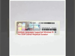 پشتیبانی از چندین زبان ویندوز 10 پرو مجوز OEM دوام دائمی